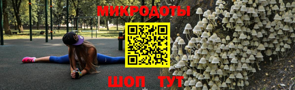 Галлюциногенные грибы Psilocybine cubensis  дарнет шоп  Советск  Вход с VPN 