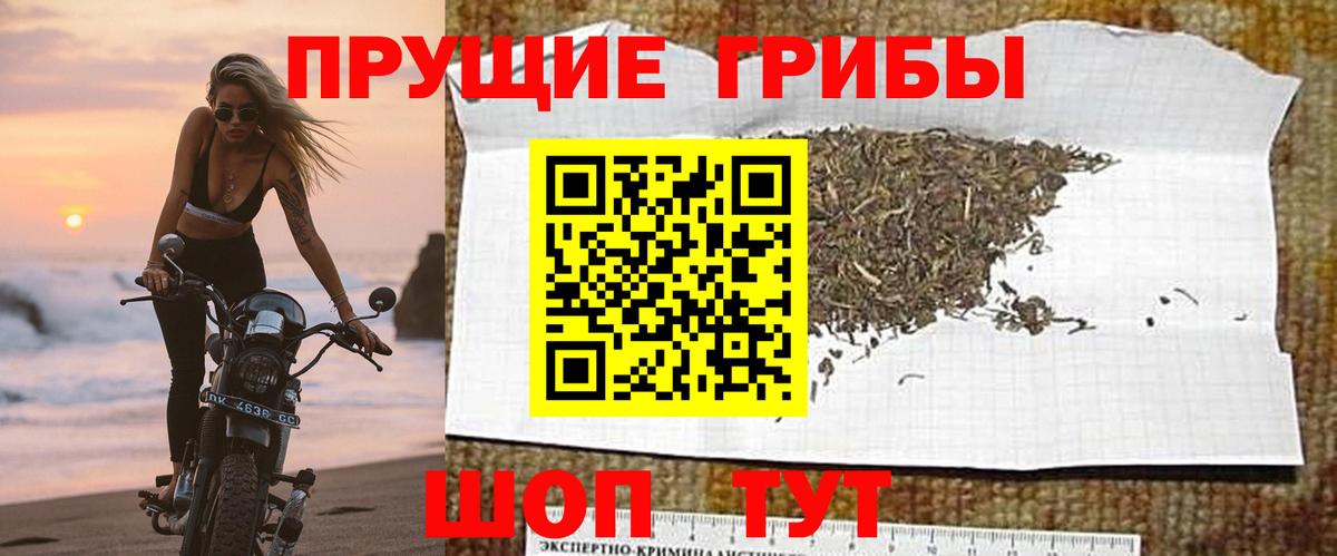 Псилоцибиновые грибы прущие грибы Советск